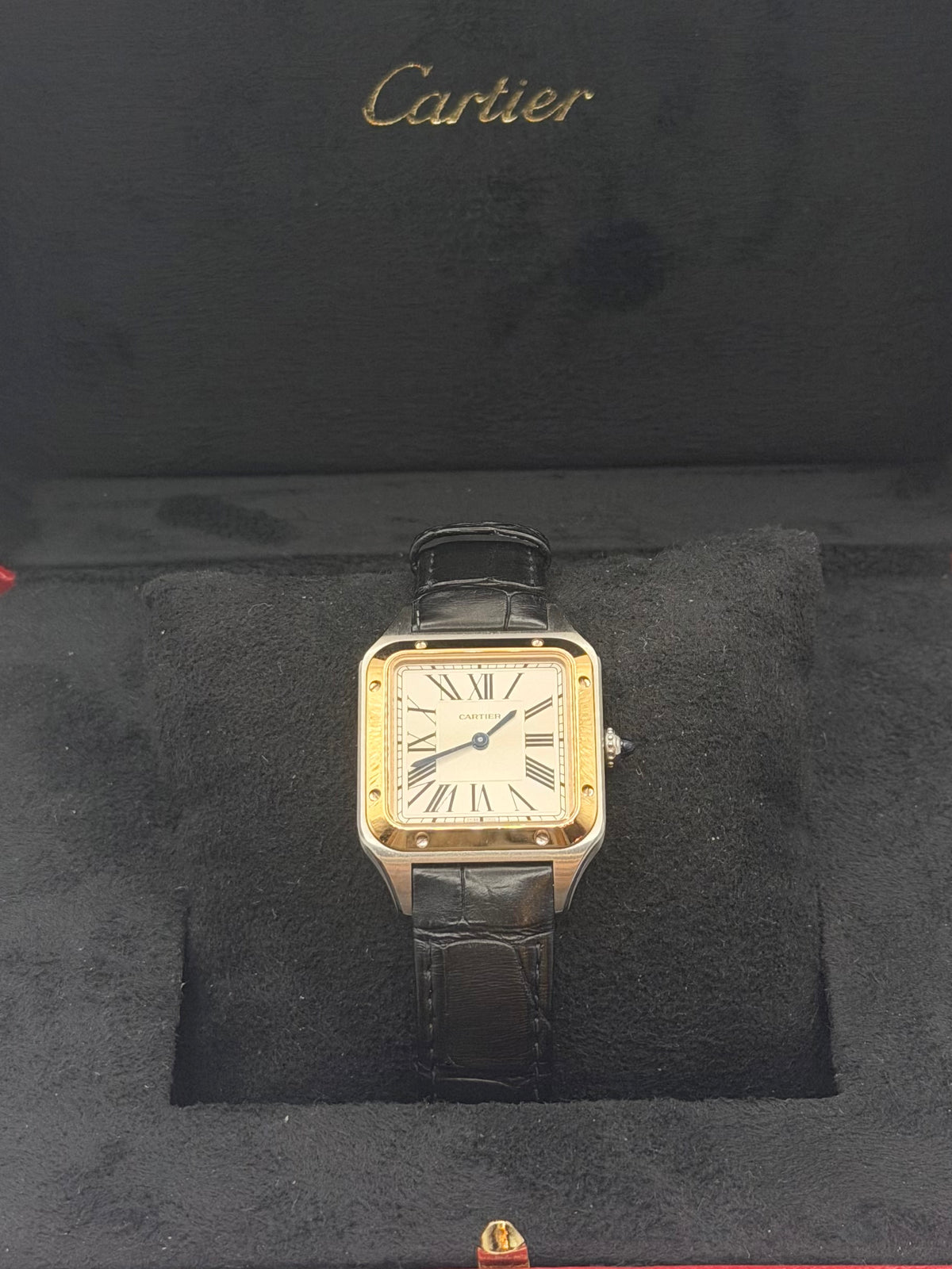 CARTIER SANTOS DUMONT - W2SA0038
